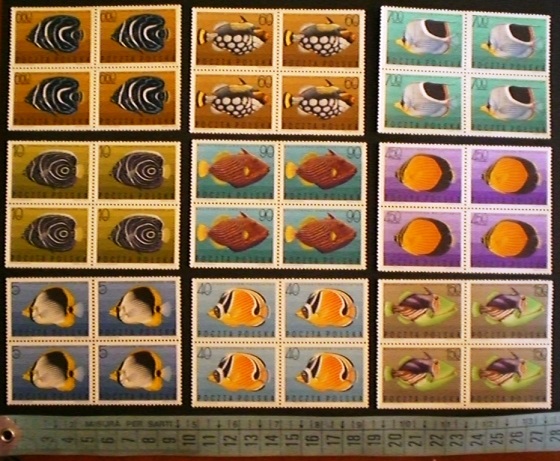 lotto