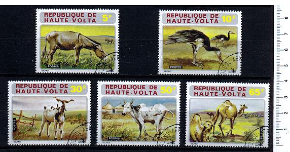 42746 - ALTO VOLTA 1972-3040 * Animali della savana - 5 valori serie completa timbrata