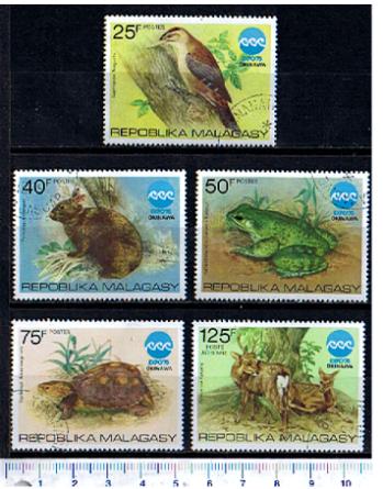 42843 - MADAGASCAR 1975-3504 Esposizione Oceanografia Okinaua: Animali diversi - 5 valori serie completa timbrata