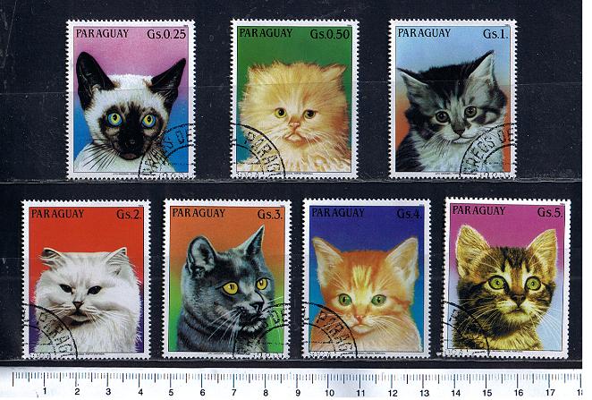 43428 - PARAGUAY	1984-219	 Gatti soggetti diversi  -  7 valori serie completa timbrata