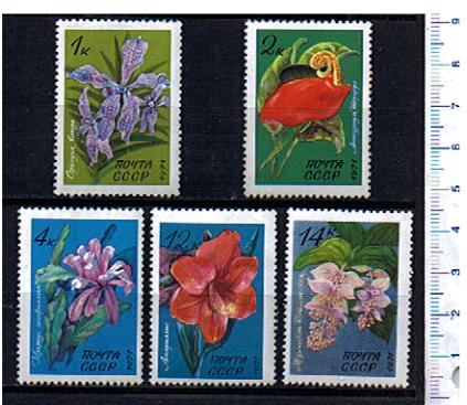 43809 - RUSSIA	1971-Yvert 3791-95  Fiori e piante tropicali   - 5 valori serie completa NUOVA colla di seconda scelta