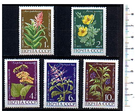 43823 - RUSSIA	1972-Yvert 3817/21	Piante medicinali  - 5 valori serie completa NUOVA con colla seconda scelta