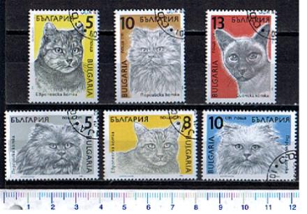 43954 - BULGARIA	1989-203  Gatti di razze diverse  - 	6 valori serie completa timbrata