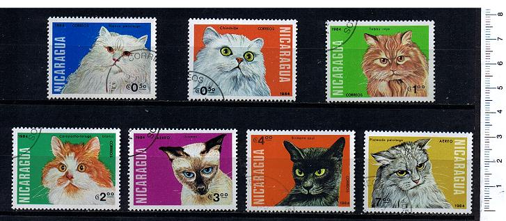 43984 - NICARAGUA	1984-215	Gatti di razze diverse  - 7 valori serie completa timbrata -