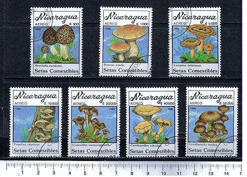 43991 - NICARAGUA	1990-386  Funghi diversi -  7 valori serie completa timbrata .