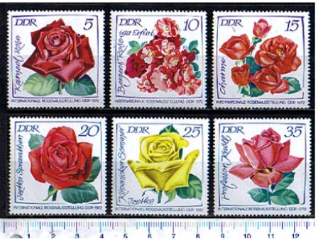 44065 - D.D.R.	1972-Yvert 1450-55 *  Esposizione Internazionale delle Rose  - 6 valori serie completa nuova