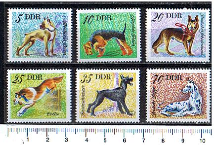 44179 - D.D.R.	1976-Yvert 1831-36  Cani di razze diverse  -  6 valori serie completa nuova