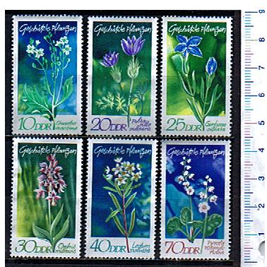 44272 - D.D.R. 1970-Yvert n1255-60 *  Piante e fiori protetti  - 6 valori serie completa nuova senza colla -