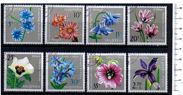 44395 - ALBANIA	1975-3366	Fiori soggetti diversi - 8 valori serie completa timbrata Yvert n 1572/79