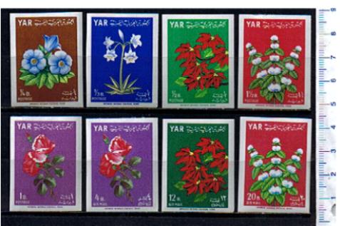 44971 - YEMEN Republic 1964-# 390-97 * Fiori soggetti diversi- 8 valori non dentellati serie completa nuova disponibile anche in Quartina
