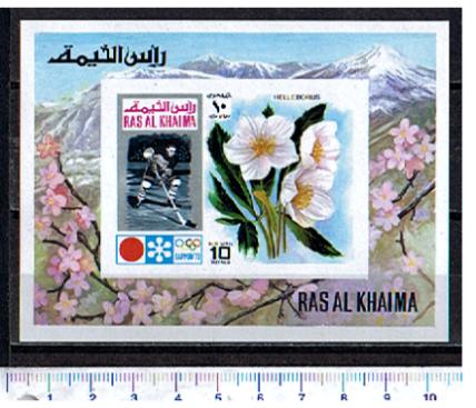 46571 - RAS AL KHAIMA 1972-636 * Olimpiadi Invernali di Sapporo 1972:-Fiori e hockey  - Foglietto non dentellato completo nuovo ** MNH