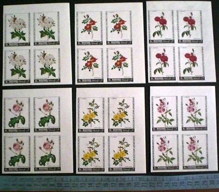 lotto