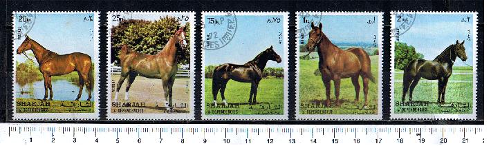 46893 - SHARJAH (ora U.E.A.), Anno 1972-2459 * Cavalli di razza, soggetti diversi - 5 valori serie completa timbrata - # 1048-52