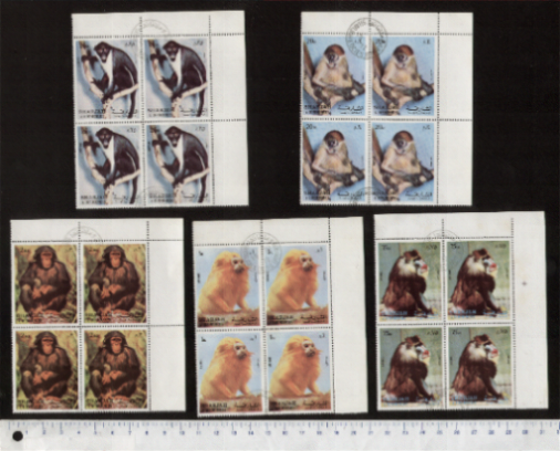 46900 - SHARJAH (ora U.E.A.), 1972-2511 * Scimmie, soggetti diversi - 5 valori serie completa timbrata in Quartina - # 1084/88