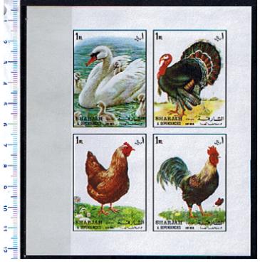 47158 - SHARJAH (ora U.E.A.), Anno 1972-957-60 * Cigno,tacchino, gallo e gallina - in blocco - 4 valori non dentellati completi nuovi