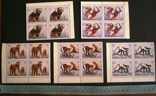 lotto