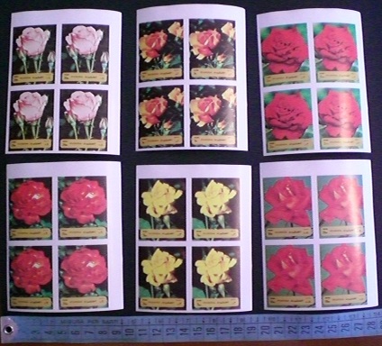 48899 - FUJEIRA, Anno 1972-M1251-56 * 	Rose diverse - 6 valori serie completa nuova in Quartina