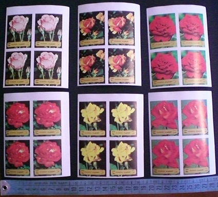 lotto