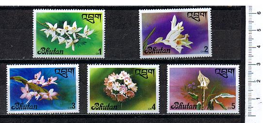 49472 - BHUTAN 197_- LS * Fiori diversi - 5 valori nuovi