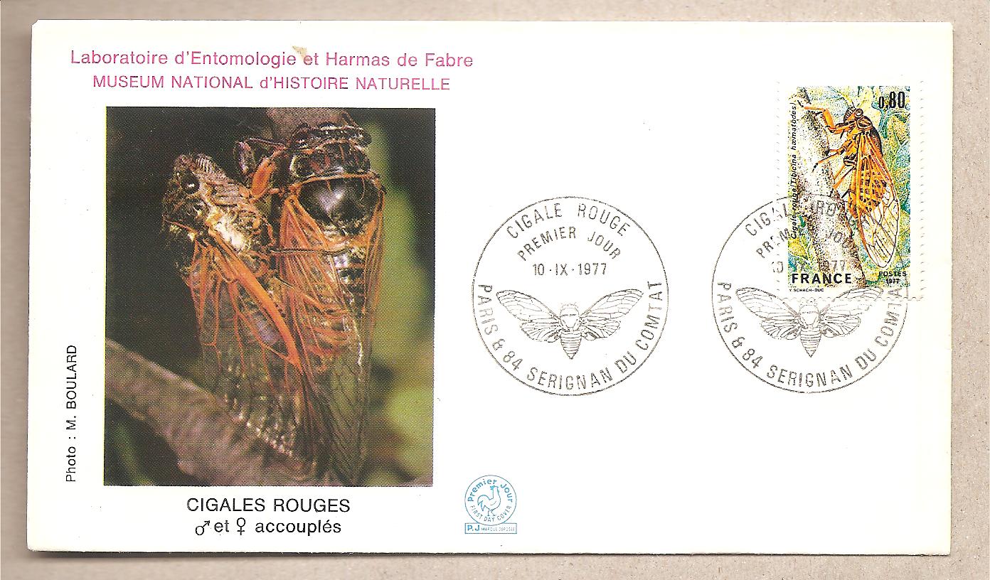 49669 - Francia - busta FDC con annullo speciale: Cicala Rossa - 1977 * G