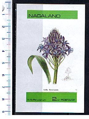 50297 - NAGALAND 1973-157F *  Fiore, Scilla Peruvianum - Foglietto completo nuovo