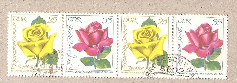 50823 - DDR - francobolli da libretto usati Michel W12 (x2): Esposizione internazionale delle rose - Edizione piccola - 1972 * G