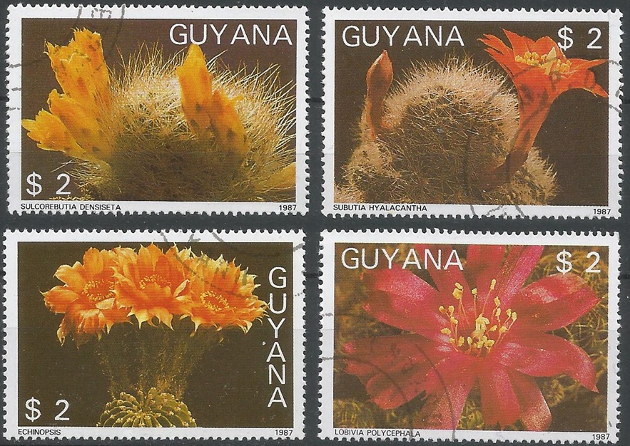 51488 - GUYANA - 1988 - Fiori di cactus - 4 val. cpl timbrati - Michel : 2088/91 - Yvert : 1769MN/MR - (GUY006)