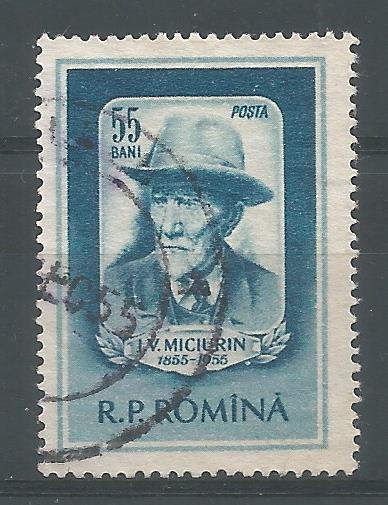 52085 - ROMANIA - 1955 - Ivan V. Michurin - 1 val. cpl timbrato - Michel : 1544 - Yvert : 1423 - [ROM083]