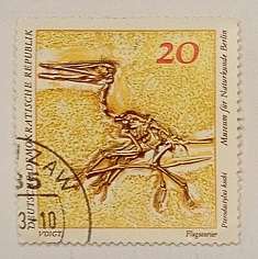 lotto