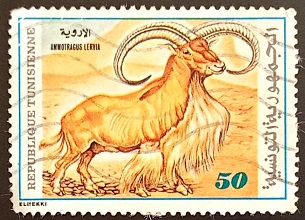 52151 - Tunisia 50 francobollo usato