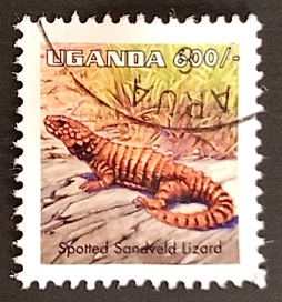 52158 - 1998 Uganda Spotted Sandveld Lizard 600 usato