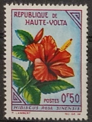 lotto