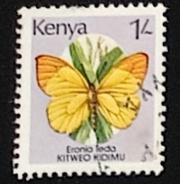 lotto