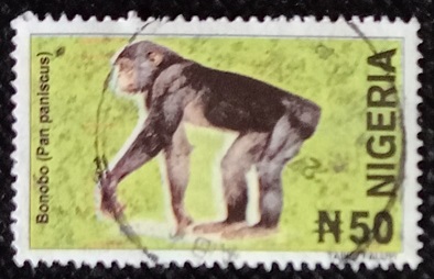 lotto