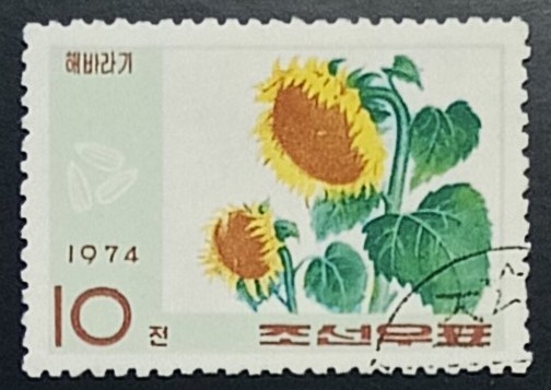 lotto