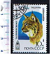 7833 - RUSSIA, Anno 1989-222   Gatto  Tallinna Loomaaeda  -  1 valore completo timbrato